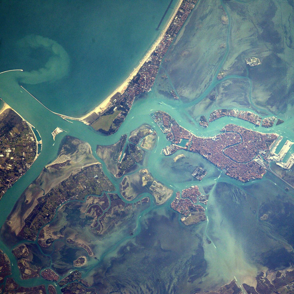 Fly-In Venice 2024